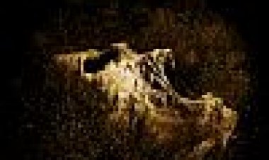 הפירמידה כתובית | The Pyramid Subtitle