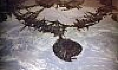 תיבת השמיים כתובית | Battle For Skyark Subtitle