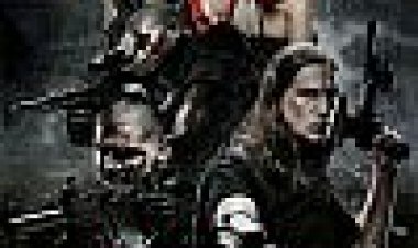 יומני נקם כתובית | Vigilante Diaries Subtitle