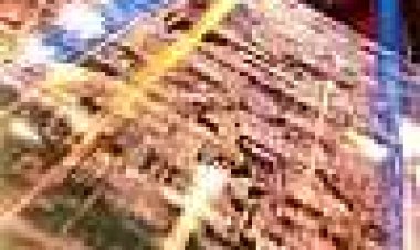 מסע בין כוכבים 8: המפגש כתובית | Star Trek: First Contact Subtitle