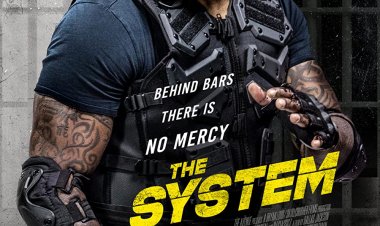 המערכת לצפייה ישירה עם תרגום מובנה | The System