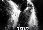 חומר דוב לצפייה ישירה עם תרגום מובנה | Cocaine Bear