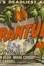 טרנטולה כתובית | Tarantula Subtitle