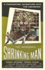 האיש המתכווץ המופלא כתובית | The Incredible Shrinking Man Subtitle