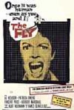 הזבוב כתובית | The Fly Subtitle