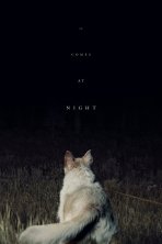 זה מגיע בלילה כתובית | It Comes at Night Subtitle