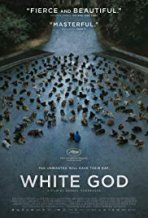 האלוהים הלבן כתובית | White God Subtitle