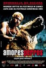 אהבה נושכת כתובית | Amores Perros Subtitle