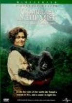 גורילות בערפל כתובית | Gorillas In The Mist Subtitle