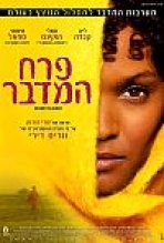 פרח המדבר כתובית | Desert Flower Subtitle