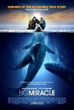 כולם אוהבים לוויתנים כתובית | Big Miracle Subtitle
