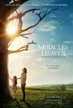 ניסים מגן עדן כתובית | Miracles from Heaven Subtitle