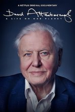 דייוויד אטנבורו: על פני האדמה כתובית | David Attenborough: A Life on Our Planet Subtitle