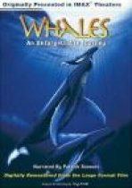 לווייתנים: מסע בלתי נשכח כתובית | Whales: An Unforgettable Journey Subtitle
