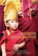 הילד המיועד כתובית | Unmistaken Child Subtitle