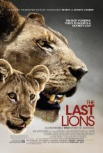 אריות הפרא האחרונים כתובית | The Last Lions Subtitle