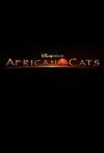 חתולים אפריקאים כתובית | African Cats Subtitle