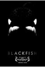 דג שחור כתובית | Blackfish Subtitle