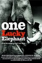 פיל לאקי אחד כתובית | One Lucky Elephant Subtitle