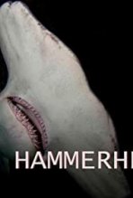טורפי על כתובית | Mega Hammerhead Subtitle