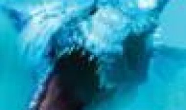 כריש-דינוזאור כתובית | Dinoshark Subtitle