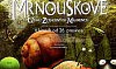 העמק הזעיר של הנמלים האבודות כתובית | Minuscule The Valley Of The Lost Ants Subtitle