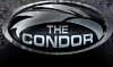 הקונדור כתובית | The Condor Subtitle
