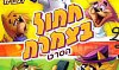 חתול בצמרת כתובית | Top Cat Subtitle
