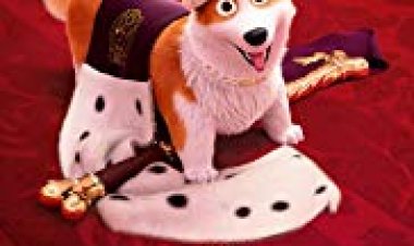 רקסי המלך כתובית | The Queen's Corgi Subtitle