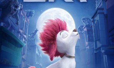 100% זאב כתובית | 100% Wolf Subtitle