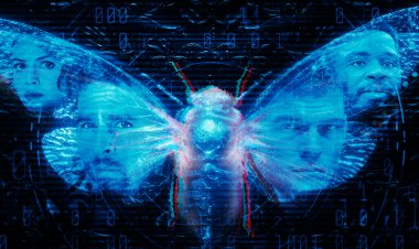 רשת אפלה לצפייה ישירה עם תרגום מובנה | Dark Web Cicada