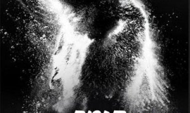 חומר דוב לצפייה ישירה עם תרגום מובנה | Cocaine Bear