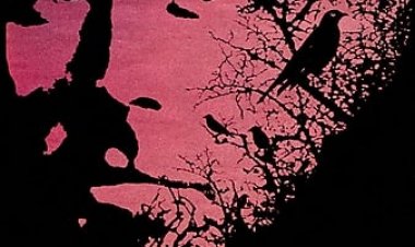 החצי האפל כתובית | The Dark Half Subtitle