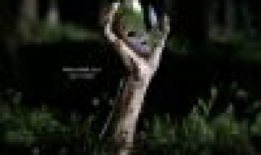 זיכרון נסתר כתובית | Skjult Subtitle