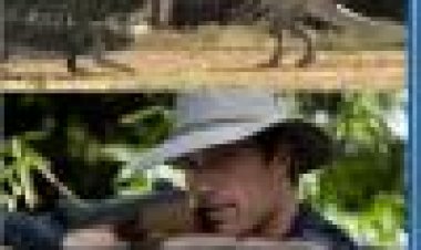 תנינוזאור נגד סופראליגטור כתובית | Dinocroc Vs. Supergator Subtitle