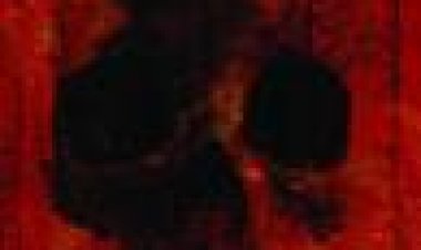 הבית השרוף כתובית | The Burnt House Subtitle