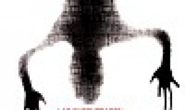 3D פאראנורמלי 3D כתובית | Paranormal Xperience 3D Subtitle