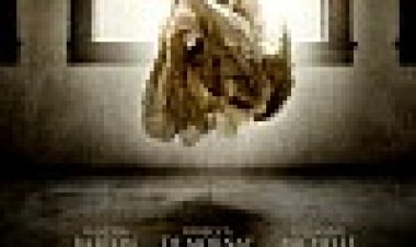 דירה 1303 כתובית | Apartment 1303 3D Subtitle