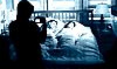 388 שדרת ארלטה כתובית | 388 Arletta Avenue Subtitle