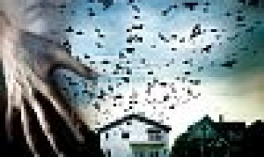 שמיים אפלים כתובית | Dark Skies Subtitle