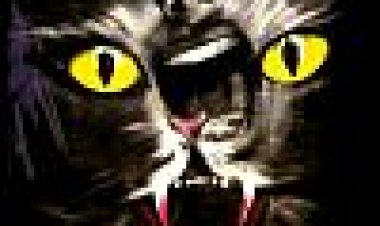 זנב החתול תשע זנבות כתובית | The Cat O' Nine Tails Subtitle