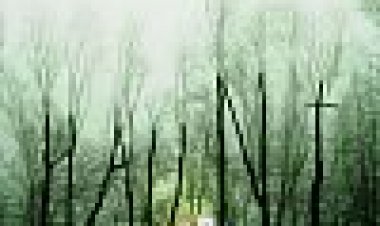 רדוף כתובית | Haunt Subtitle