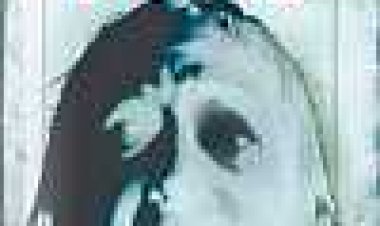 שחקן הקלפים כתובית | The Card Player Subtitle