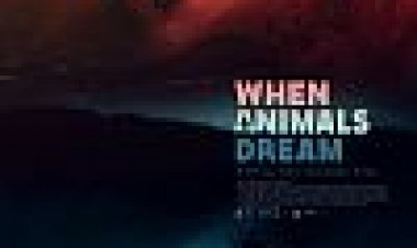 כאשר החיות חולמות כתובית | When Animals Dream Subtitle