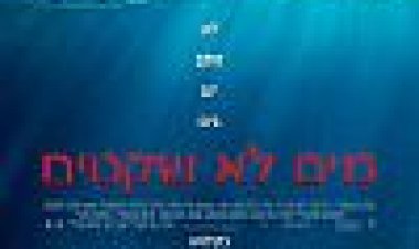 מים לא שקטים כתובית | The Shallows Subtitle