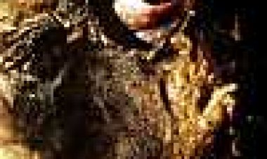 זרע כתובית | Seed Subtitle