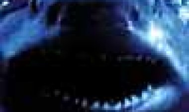 מתקפת הכרישים 2 כתובית | Shark Attack 2 Subtitle