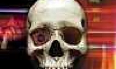 זומבים חשמליים כתובית | Electric Zombies Subtitle