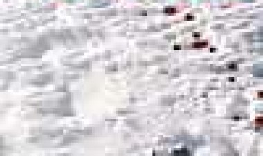 נמק כתובית | Necrosis Subtitle