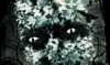 היער המרושע כתובית | The Evil Woods Subtitle